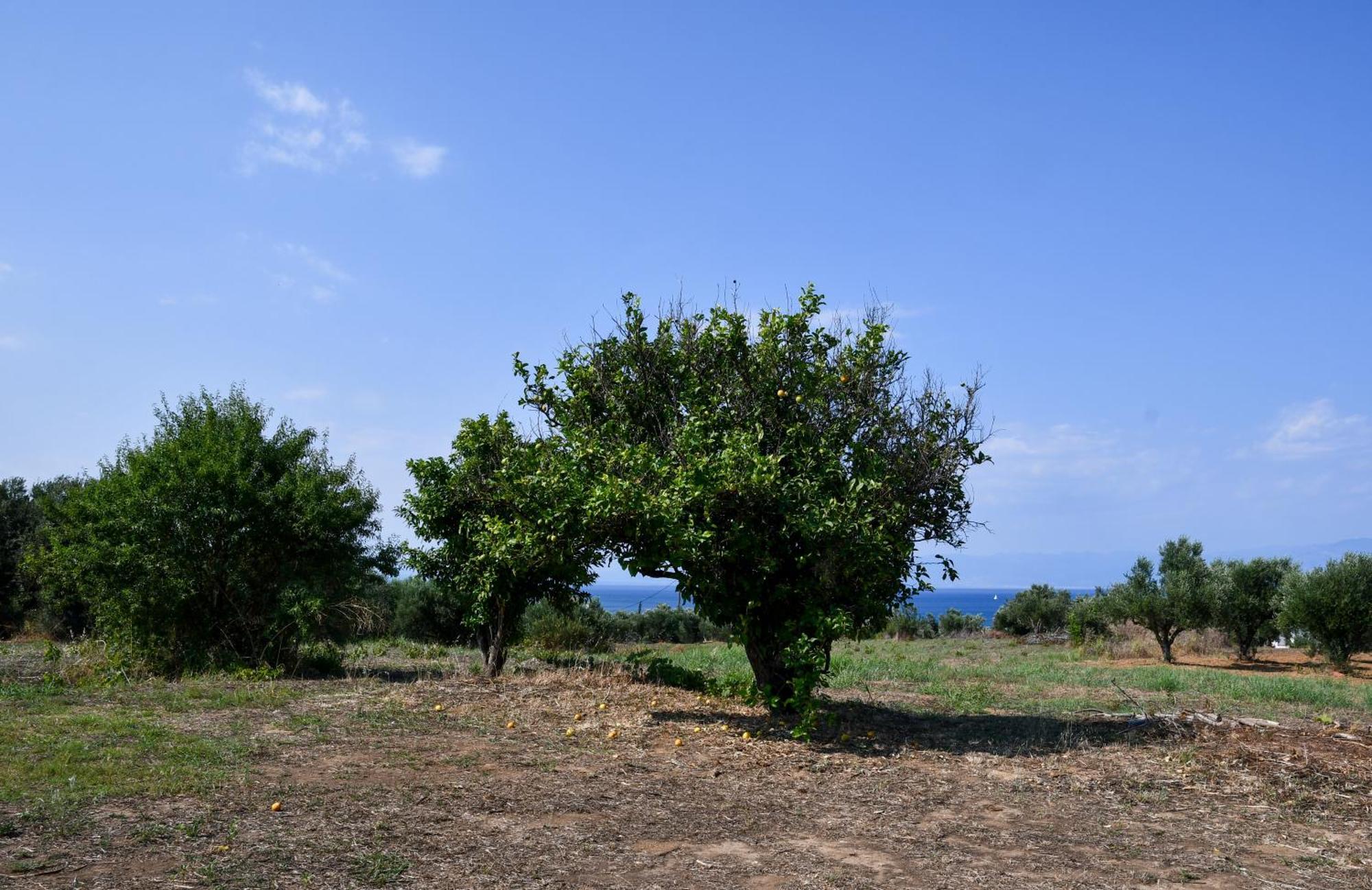 Anastasios House Apartment Koroni  Luaran gambar
